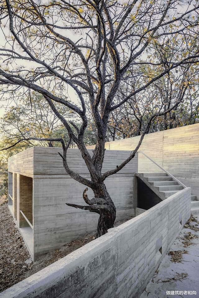 卧室|抽象的几何住宅：顺应场地，隐藏于森林中的乌托邦