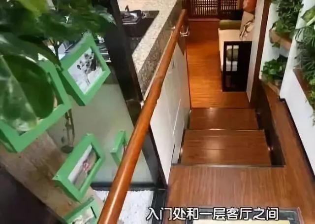 设计师|15米大树穿过20㎡老屋，一家人害怕遭雷劈，出价8万挖走也不敢卖