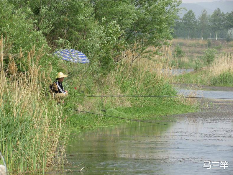 |夏天钓鱼找鱼窝，找这三种地方准没错