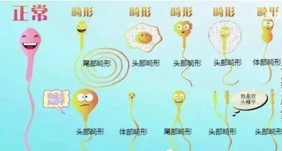 生命的起源,带你走进小蝌蚪的成长之路