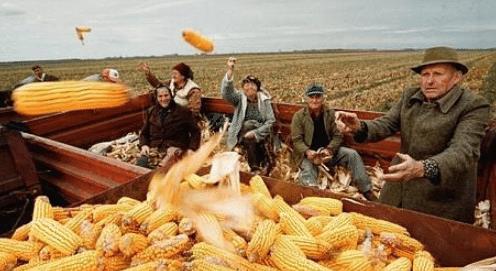 魔芋 中国再向美发出146万吨大单，民众不断“叫差”，如今却不得不欢迎