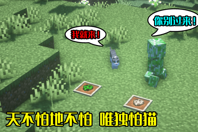 熊猫|我的世界:苦力怕怕猫人人知道,那熊猫怕什么?很少有玩家知道