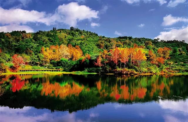 五指山 海南海拔最高的城市:市区海拔328米,有“翡翠山城”之称!