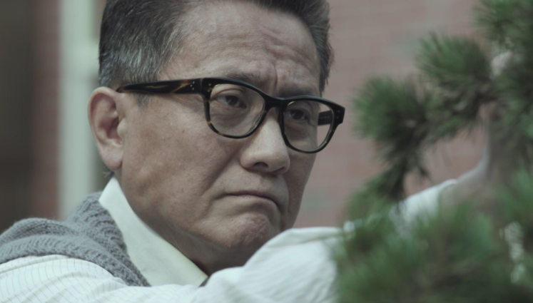 王一博|王一博又一“霸屏”新剧来袭，上星湖南卫视，这阵容熬夜也要追