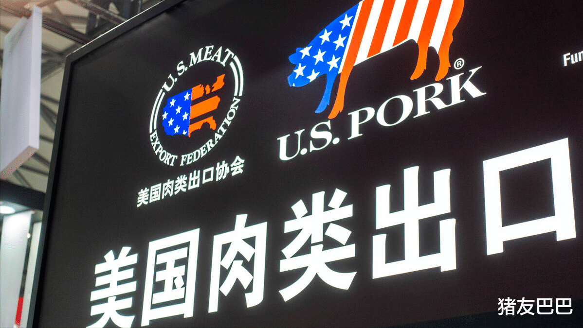 生猪价格 5月28日,猪价跌惨行情探底,3个坏消息,猪价8元/斤也稳不住?