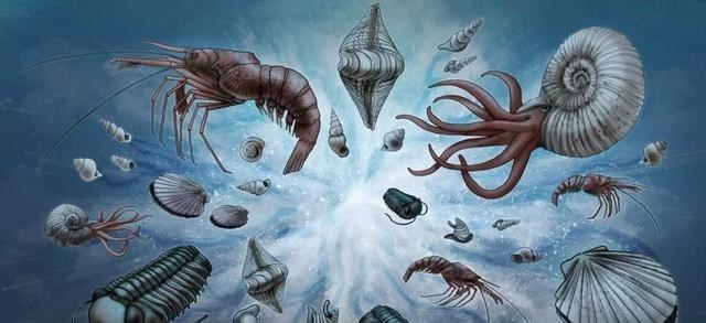 昆虫 生物进化论屡受质疑，又一问题出现：该如何解释昆虫翅膀的来源？