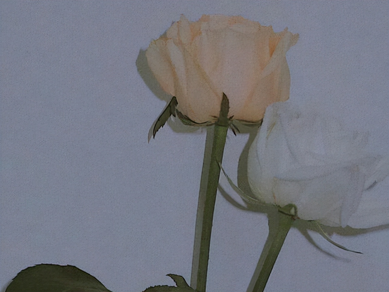 星座师安达|水瓶座的圆滑，不是在外表，而是在沉默中