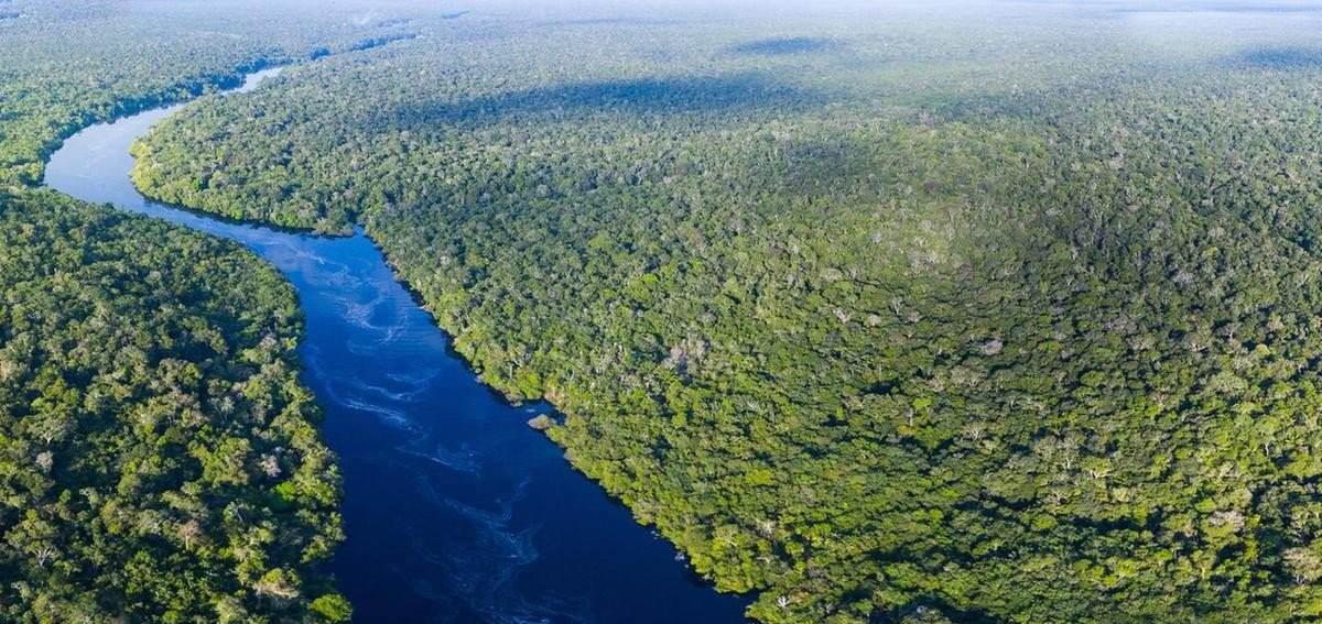 巨蟒 东南亚地区发现9米巨蟒，世界上最大的蛇有多长？人被吞下怎么办