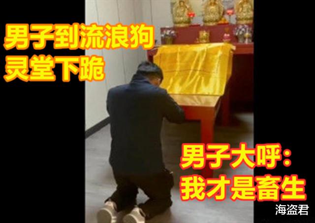 海盗君 台湾一男子撞死流浪狗到灵堂下跪，表现非常悔过，称：我才是畜生