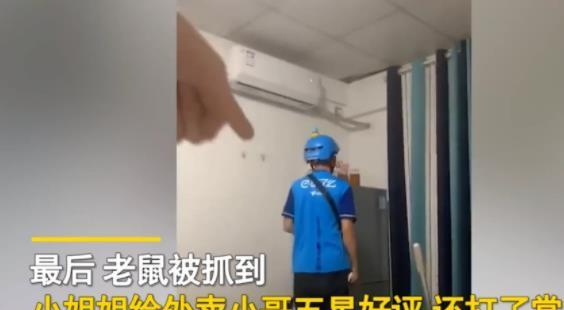 缘来妈咪|福建一女生家进老鼠下单点外卖求助，女生一句话外卖小哥不淡定了