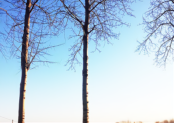 麦熟天 冰天寒地，冷风中，我呼唤，一个快乐温暖的舒缓人间！