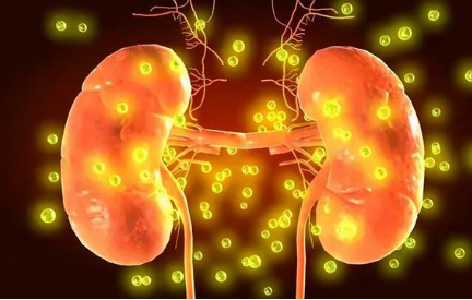 高血压|高血压的元凶已找到，医生提醒：远离高血压，这3物不要再食用