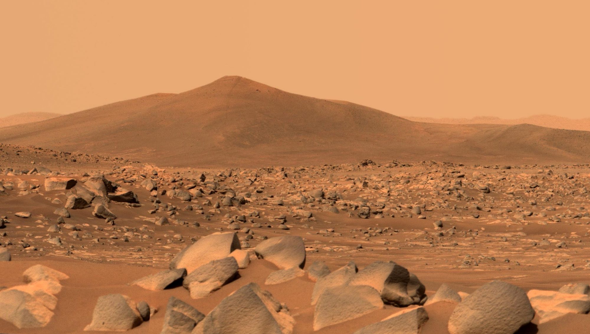 微生物 好奇号传回照片，将火星岩石展现在我们眼前，像极地球的戈壁滩