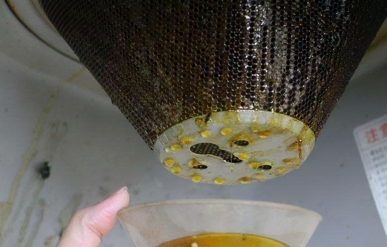 家居超人|建议：别被“网红用品”割韭菜了，看似很高级，却中看不中用