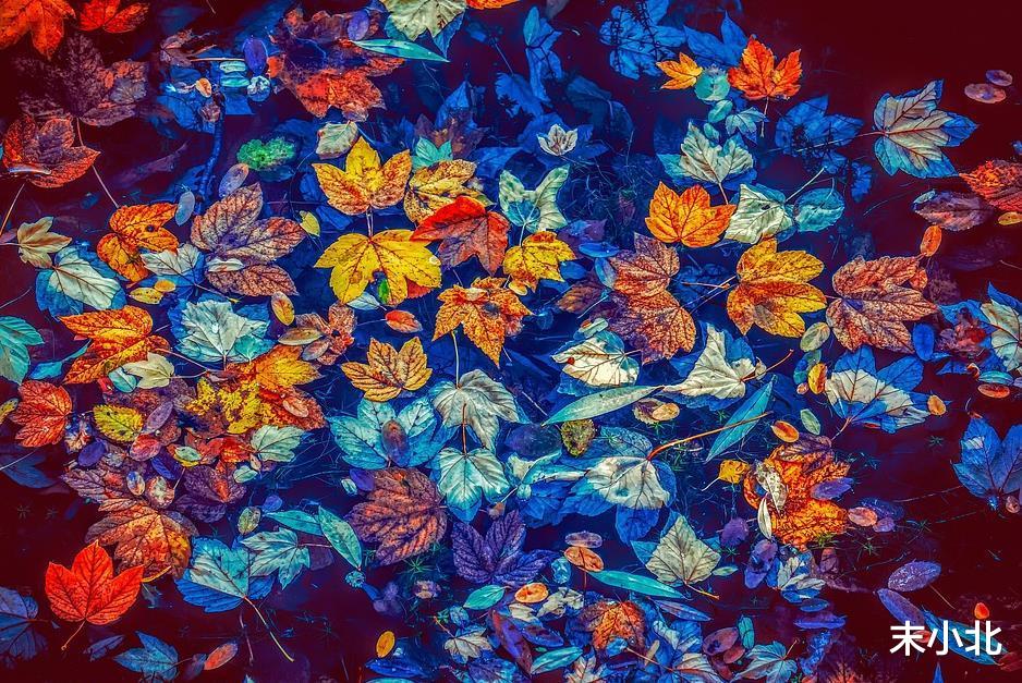 末小北|男人结婚以后,尽量远离这两个场合,避免被误会