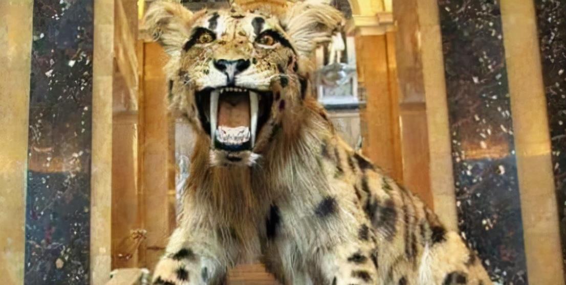 智人 地球上最初没有人，那第一位女人和男人是如何诞生的？