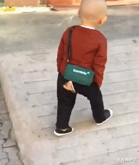 |儿子认为不结婚不买房是件好事，我该怎么办？网友：你搁这钓鱼呢