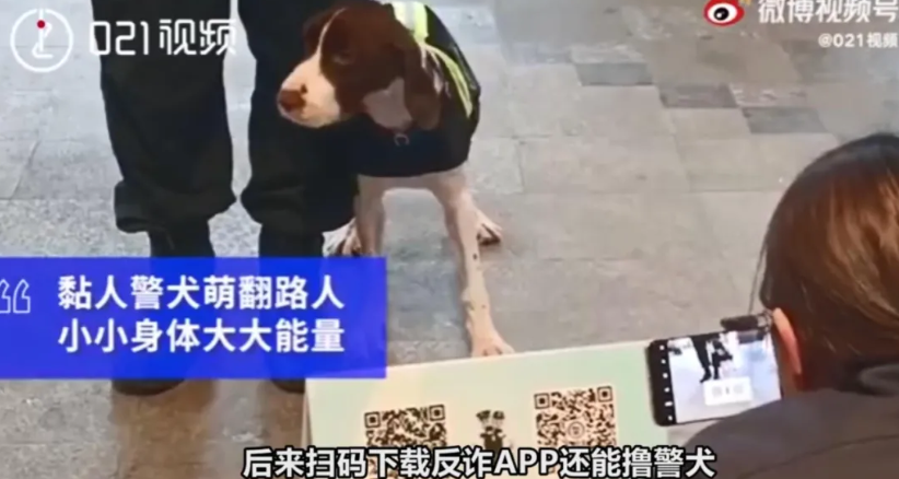 警察 反诈警察深夜“查房”网红直播！西厂公公、社会大哥秒怂