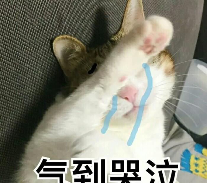 图图爸爸|宝宝米粉花样吃，解锁米粉新吃法