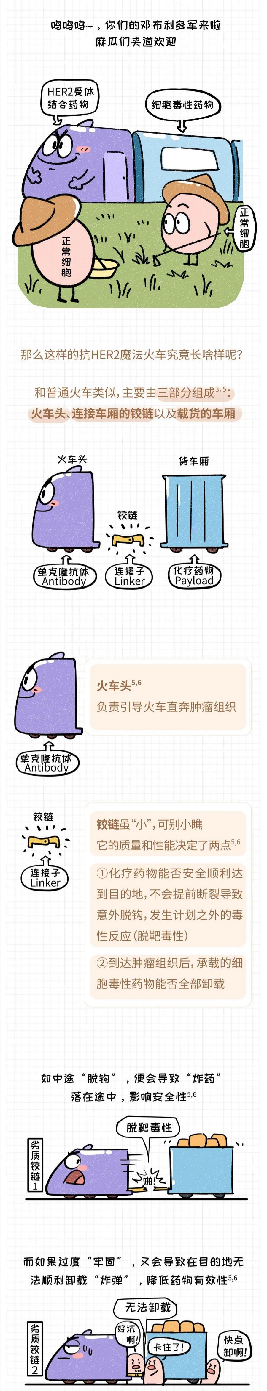 |轻松读懂ADC药物抗肿瘤作用机制