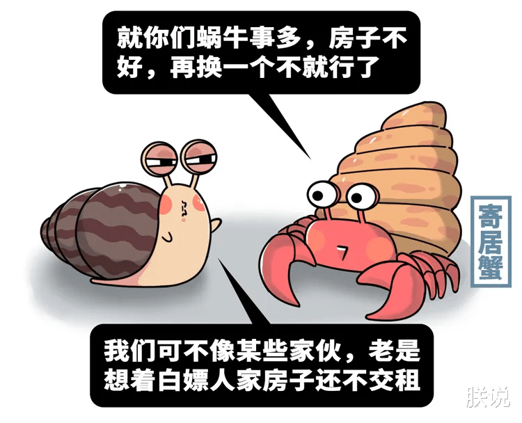 非洲大蜗牛 雌雄同体、满身脏物，这种蜗牛一度让中国吃货们害怕，直到它变白