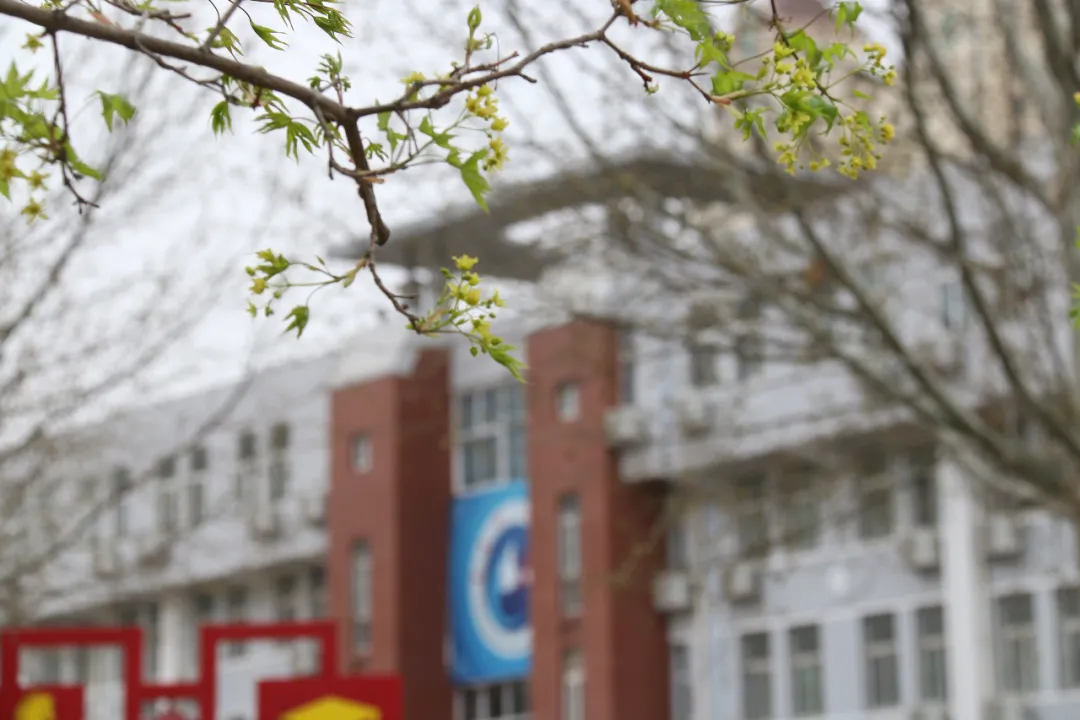 圈衡水 家长寄语高三学子：战鼓已敲响，冲锋吧孩子们！