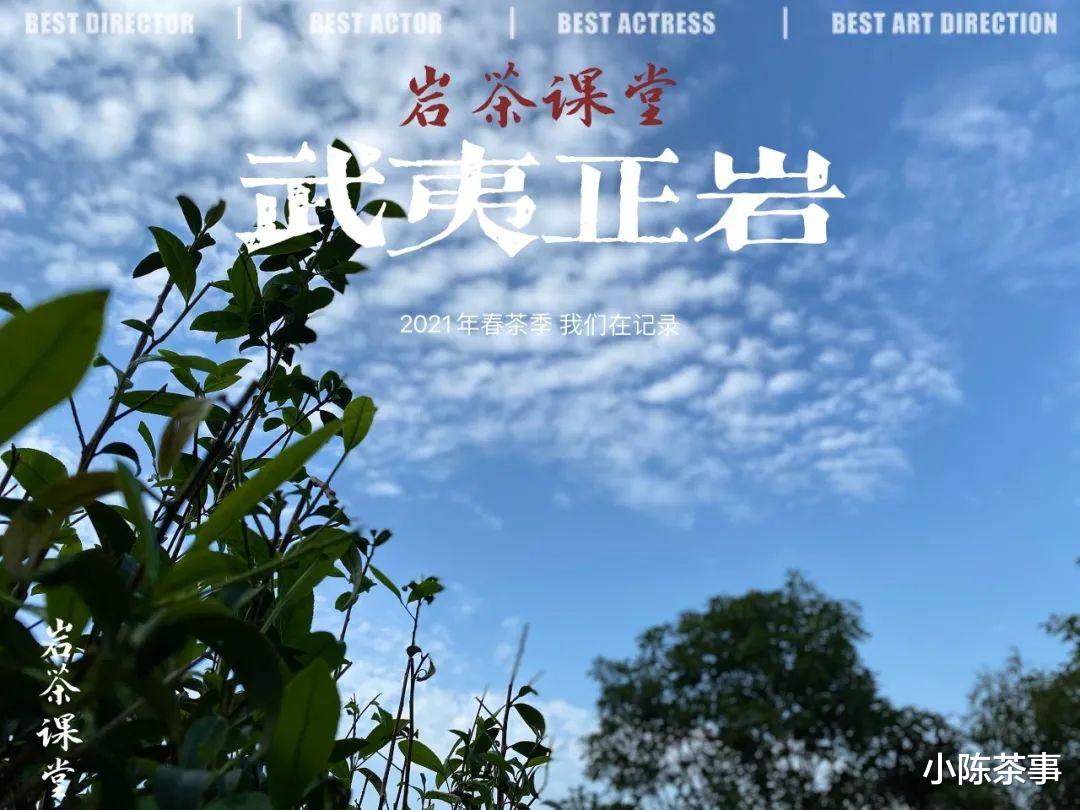 白茶|都是老茶，老白茶、老普洱贵如金，凭什么就陈年岩茶滞销堆积？