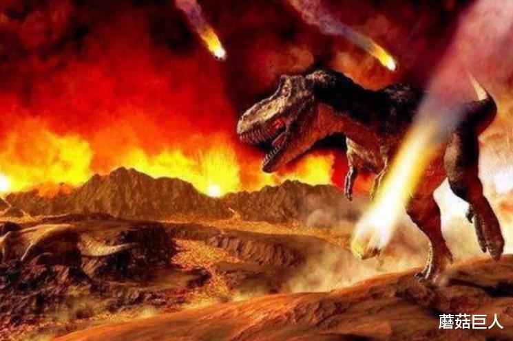 蘑菇巨人|6500万年前被抛到月球的遗骸，是登陆还是研究，人类都蒙了