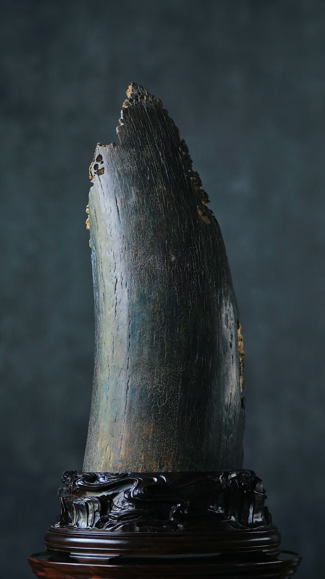 |猛犸 |十八罗汉