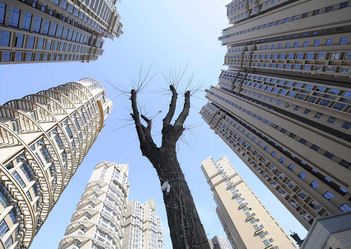 重庆|楼市传来“逆转”信号？“翘尾”行情出现，2022年可别再误判了！