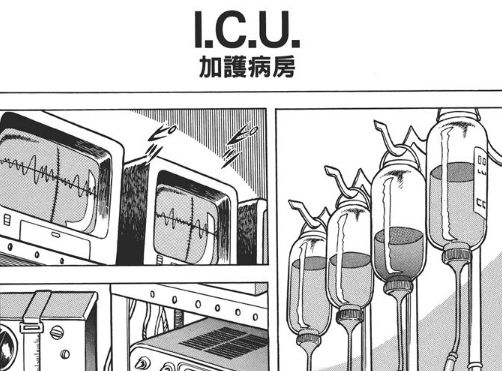玫瑰|《圣斗士星矢》十二宫战斗中纱织为何不救卡妙和阿布罗狄？