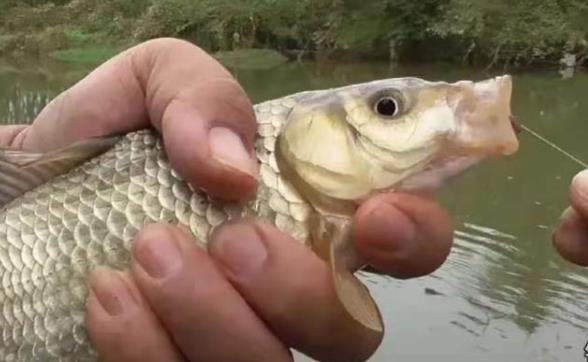 广东省|不管调几目钓几目，这“3项注意”必须牢记在心！