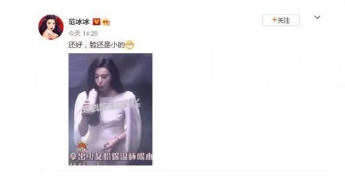 范冰冰|范冰冰身材发福爆怀孕