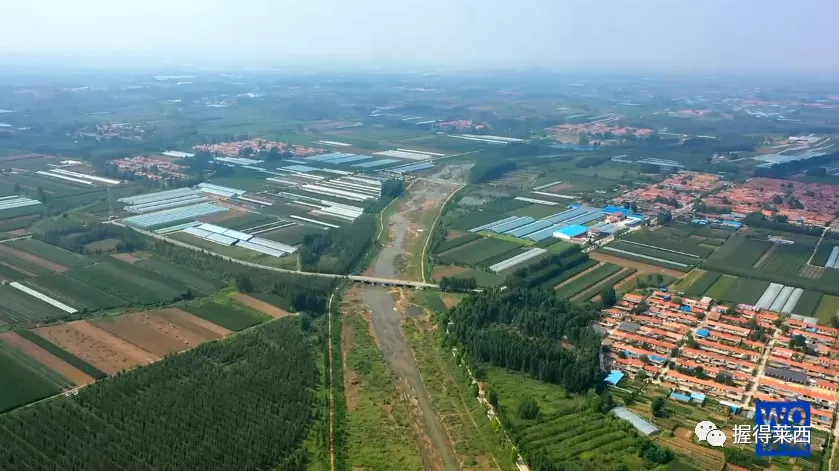 握得莱西 5年、15年后的莱西，会是什么样子？