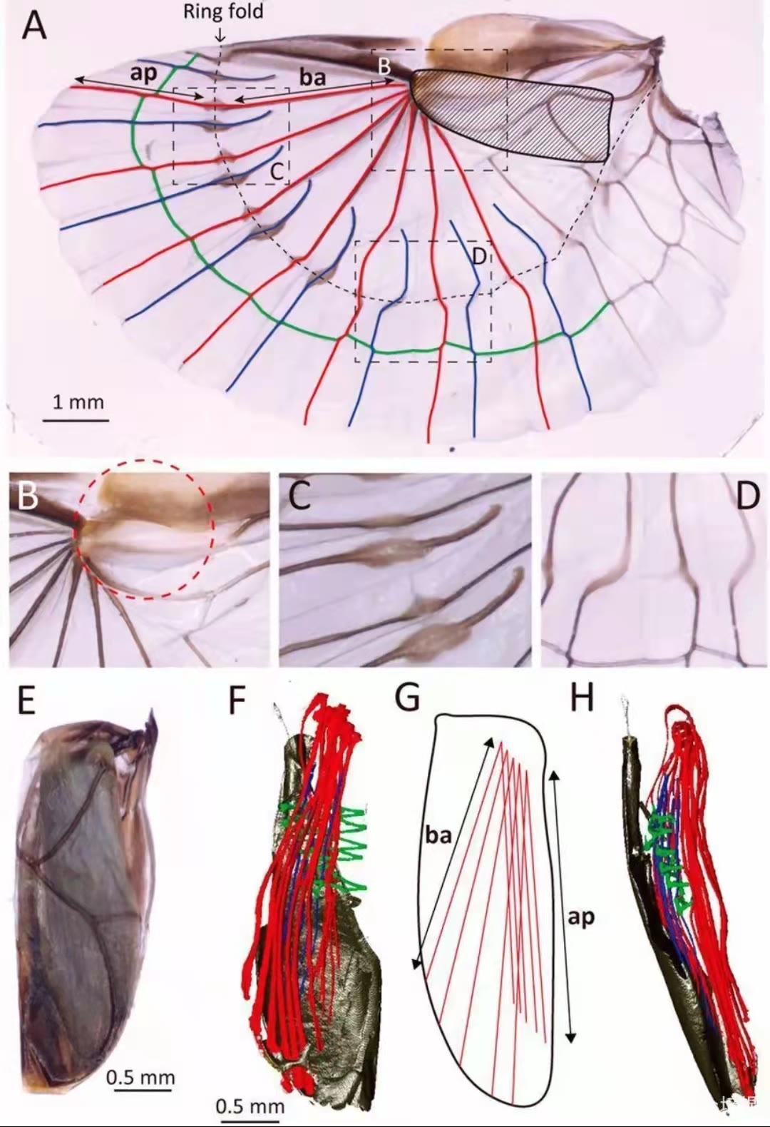  人类管好自己的生存就好了，为什么要重视动植物？