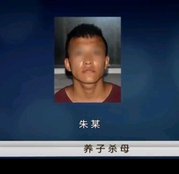 小伙连捅十刀将母亲杀害,搬石头砸烂母亲的头,被抓后:她抢我刀