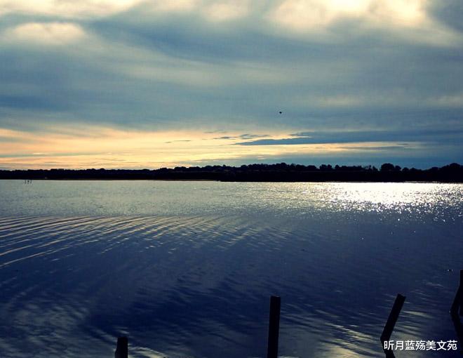 昕月蓝殇美文苑|一往情深,一生牵挂,爱你到老