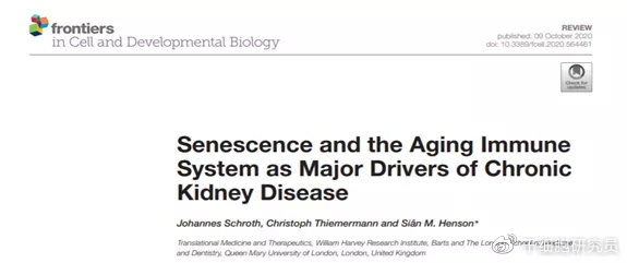 中科西部细胞研究院|中科西部干细胞研究院：免疫细胞减缓衰老，医学发展新焦点 ！