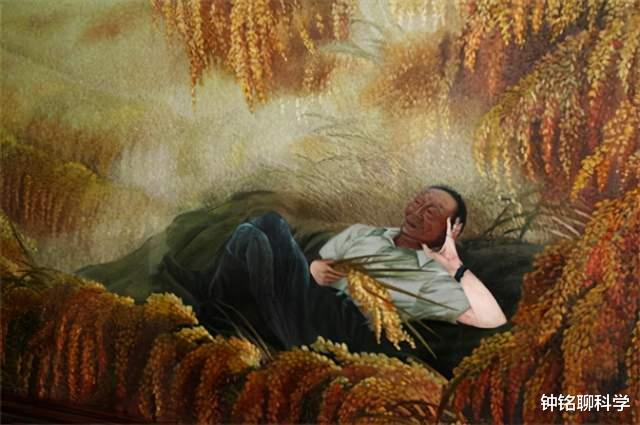 袁隆平|国士无双的袁隆平，儿孙都是做什么的？有人能接过他的衣钵吗？