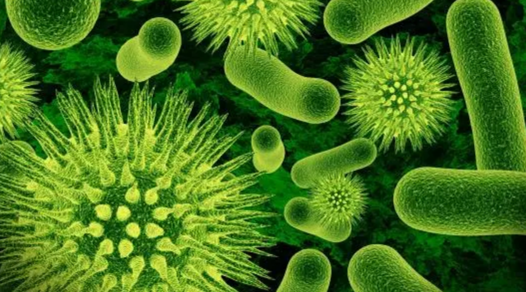 为何人们不敢在亚马逊河中游泳?“可怕”的亚马逊河中有何生物?