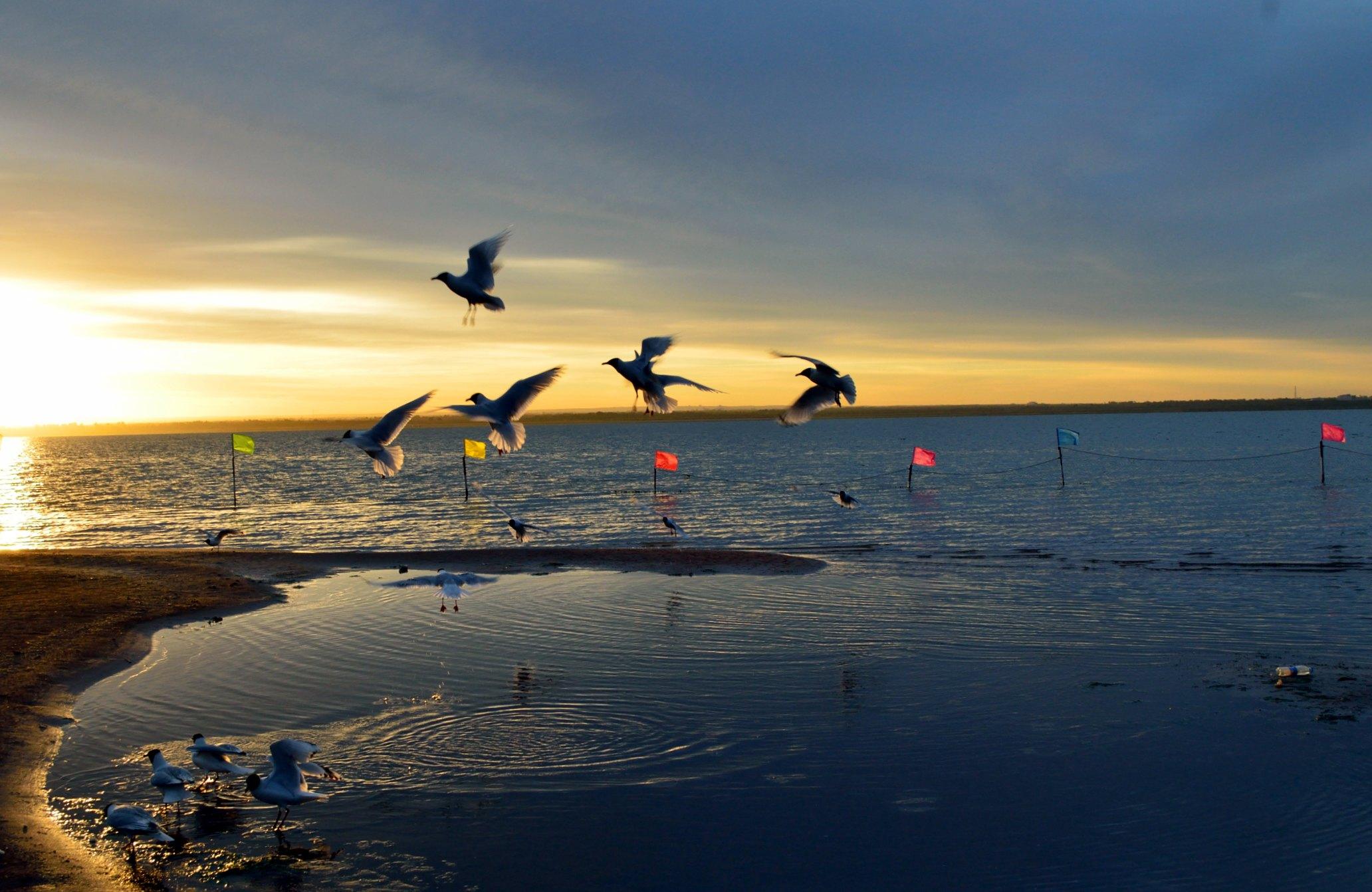 陕西 中国第一大沙漠湖泊，呈三角形状，是国家级湿地自然保护区