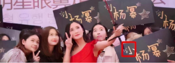 整容|她花6年整容成杨幂，走红后嫁入豪门，却被2岁儿子的颜值抢镜