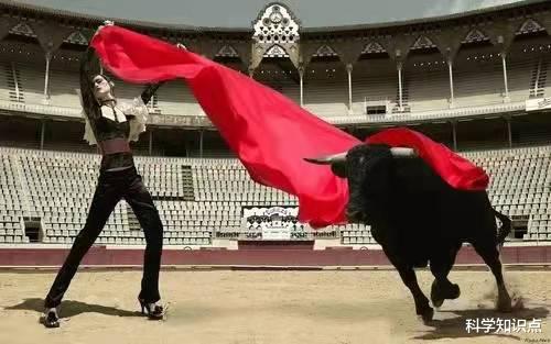 斗牛|全球5大恐怖高薪职业,一场就赚数十万欧元,这种工作你敢干吗?