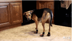 神之焰 小哥别一直盯着妹子了，你好歹掩饰下啊哈哈