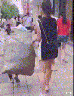 丁其琛|神回复：为什么女厕所旁边还有一个女士专用厕所