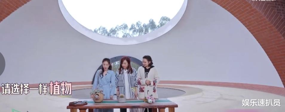 娱乐速扒员 杨子被丈母娘挖苦秒变安静美男子，网友：杨子也有哑口无言的时候