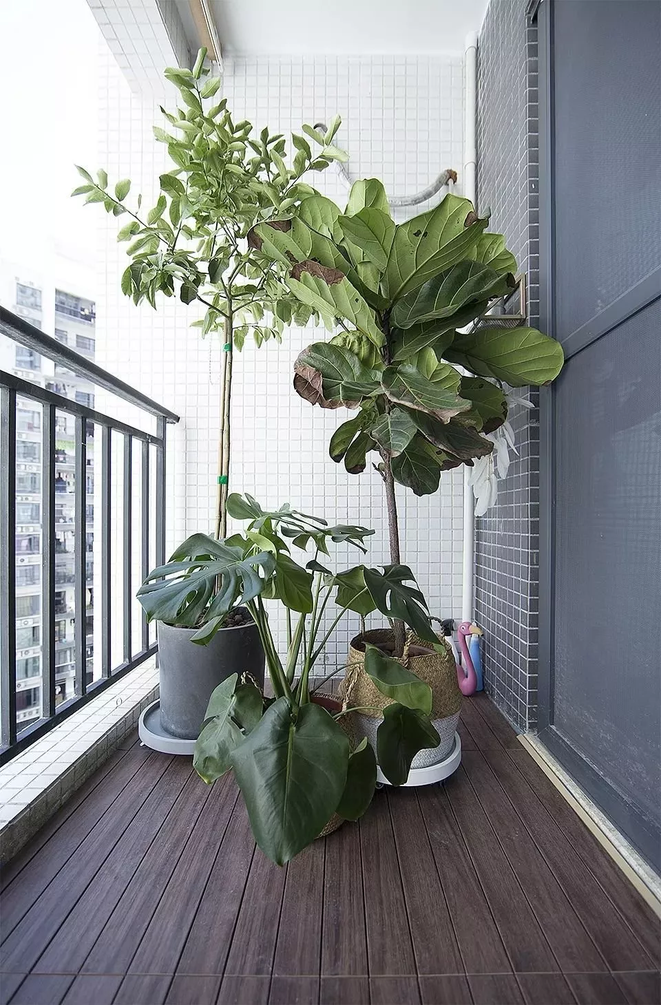 115平的新房宽敞大气,一线城市拥有这样的房子,谁会不喜欢呢?