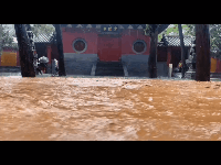 慢慢来的脚步|挺住！祝郑州平安，愿河南无恙