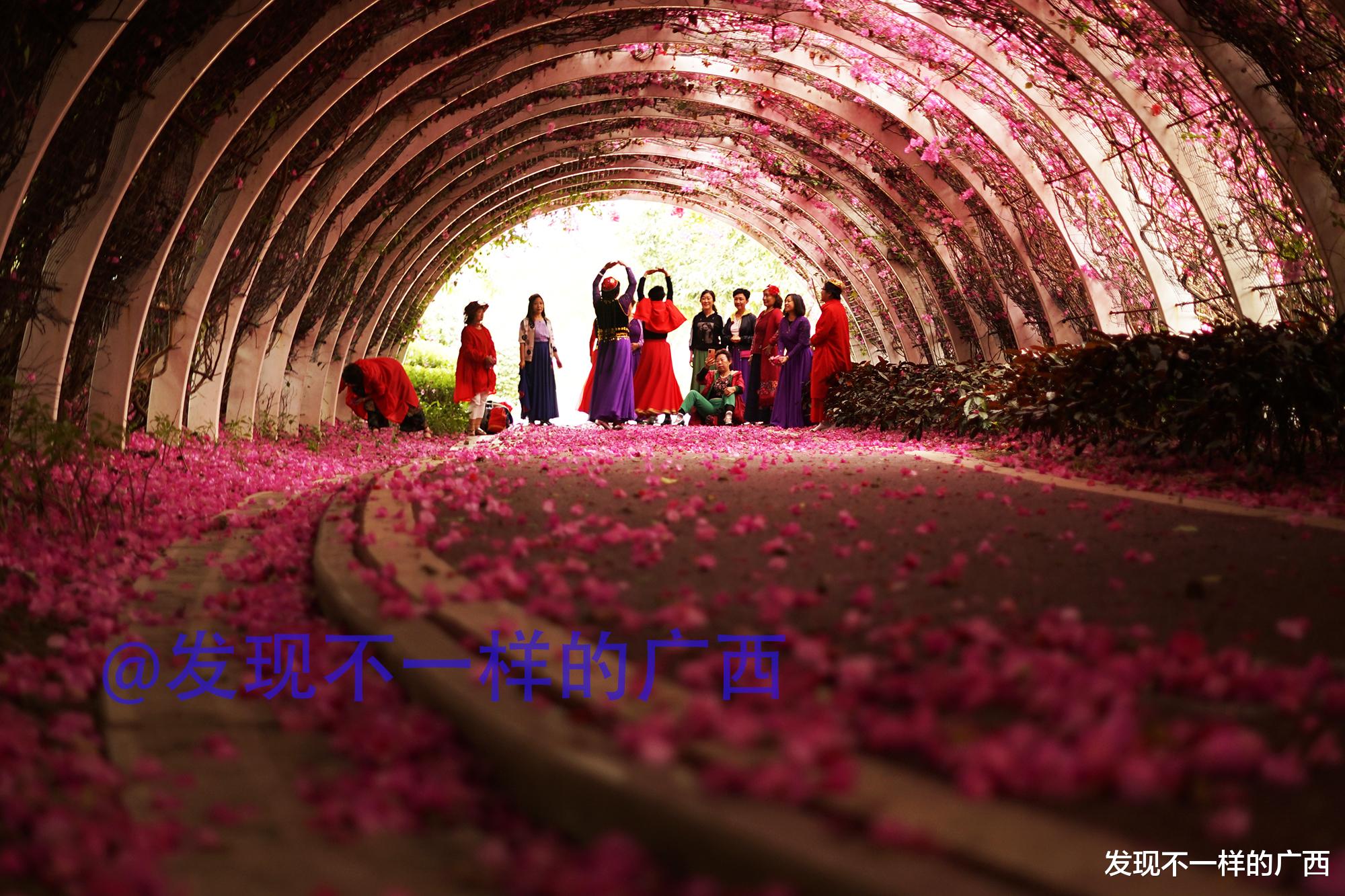 发现不一样的广西 在北海，第一次看到这么美的一个公园！