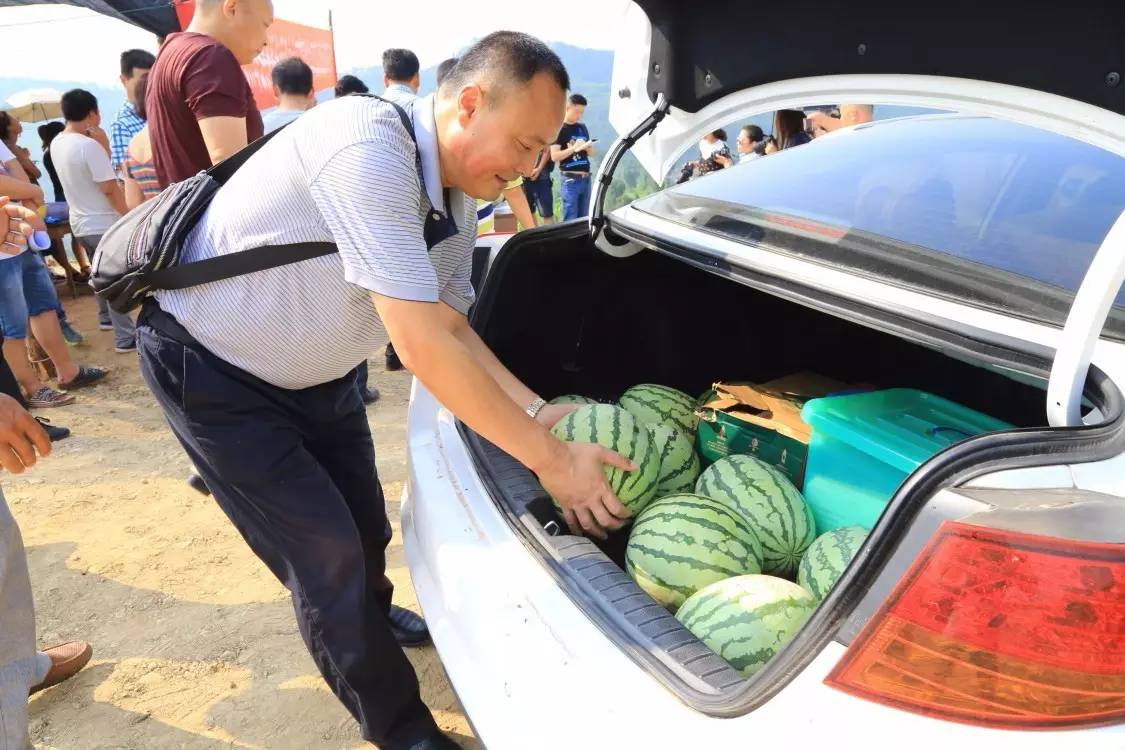 午后说车 后备箱装几个西瓜被罚200?车主反问交警:买两个西瓜吃怎么了?